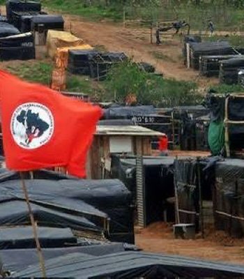 WhatsApp Image 2024-07-19 at 17.35.41